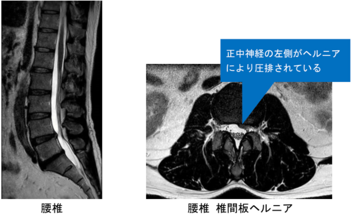 撮影画像